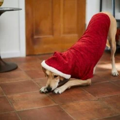 Frisco Textured Knit Dog & Cat Hoodie -Frisco Sales Store 224233 PT7. AC SS1800 V1601578309