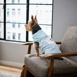 Frisco Mommy's Little Bear Dog & Cat Hoodie 14 Frisco Mommy's Little Bear Dog & Cat Hoodie -Frisco Sales Store 224272 PT6. AC SS1800 V1637715724