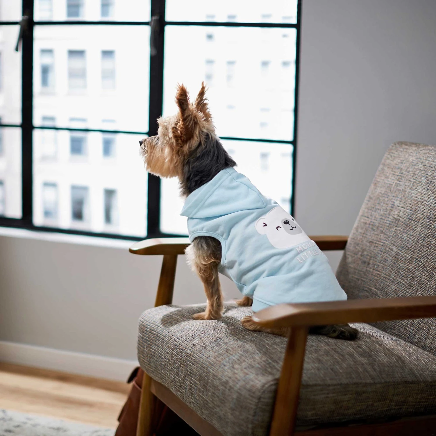 Frisco Mommy's Little Bear Dog & Cat Hoodie 7 Frisco Mommy's Little Bear Dog & Cat Hoodie - Image 7