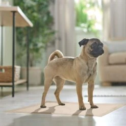 Frisco Large Eco-Conscious Dog Training & Potty Pads -Frisco Sales Store 227438 PT6. AC SS1800 V1674665619