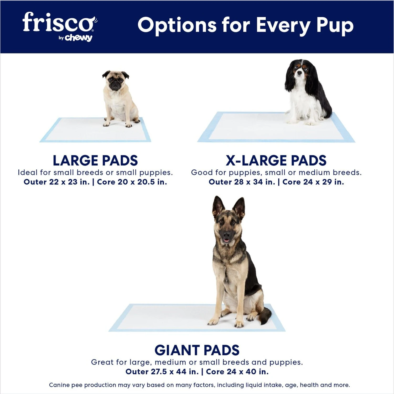 Frisco Non-Skid Ultra Premium Dog Training & Potty Pads 4 Frisco Non-Skid Ultra Premium Dog Training & Potty Pads - Image 4