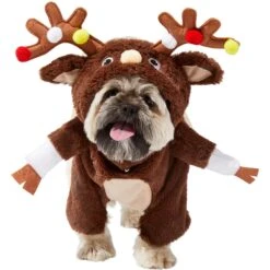 Frisco Front Walking Reindeer Dog & Cat Costume, 1 Count -Frisco Sales Store 228790 PT2. AC SS1800 V1636731101