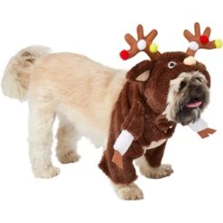 Frisco Front Walking Reindeer Dog & Cat Costume, 1 Count -Frisco Sales Store 228790 PT3. AC SS1800 V1631299657