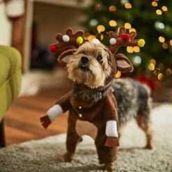 Frisco Front Walking Reindeer Dog & Cat Costume, 1 Count -Frisco Sales Store 228790 PT7. AC SS1800 V1636743685