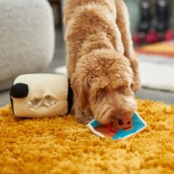 Frisco Retro Camera 2-in-1 Rip For Surprise Plush Squeaky Dog Toy -Frisco Sales Store 230306 PT3. AC SS1800 V1602639779