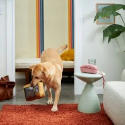 Frisco Retro Television Ballistic Nylon Plush Squeaky Dog Toy 5 Frisco Retro Television Ballistic Nylon Plush Squeaky Dog Toy -Frisco Sales Store 230308 PT3. AC SS1800 V1601947325