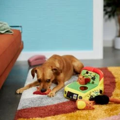 Frisco Retro Smack-a-Squirrel Hide & Seek Puzzle Plush Squeaky Dog Toy 7 Frisco Retro Smack-a-Squirrel Hide & Seek Puzzle Plush Squeaky Dog Toy -Frisco Sales Store 230313 PT3. AC SS1800 V1601947334