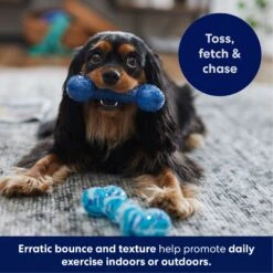Frisco Retro Denim & Swirl TPR Bone Squeaky Dog Toy -Frisco Sales Store 230341 PT4. AC SS1800 V1695748896