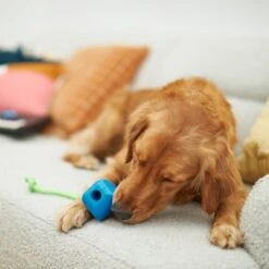 Frisco Retro PC Mouse Rubber Tug & Fetch Dog Toy 5 Frisco Retro PC Mouse Rubber Tug & Fetch Dog Toy -Frisco Sales Store 230385 PT3. AC SS1800 V1606953426