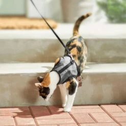 Frisco Wrap Cat Harness -Frisco Sales Store 230691 PT5. AC SS1800 V1601096758