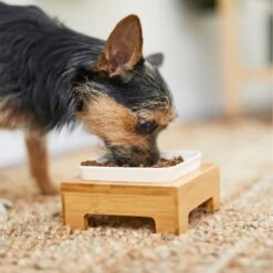 Frisco Square Melamine Dog & Cat Bowl With Bamboo Stand -Frisco Sales Store 232072 PT8. AC SS1800 V1605746845