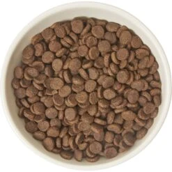 Frisco Double-Sided Ceramic Elevated Cat Bowl -Frisco Sales Store 232081 PT3. AC SS1800 V1605145964