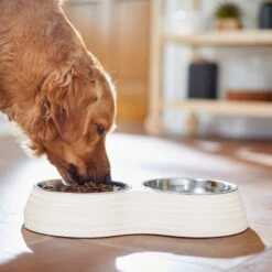 Frisco Stainless Steel Double Dog Bowls With Melamine Stand 8 Frisco Stainless Steel Double Dog Bowls With Melamine Stand -Frisco Sales Store 232092 PT7. AC SS1800 V1693015855
