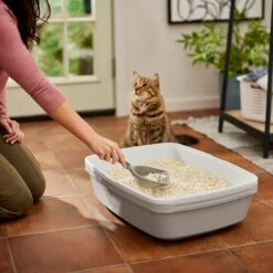 Frisco Tofu Clumping Cat Litter -Frisco Sales Store 232117 PT4. AC SS1800 V1659546420