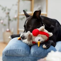 Frisco Holiday Owl Plush Squeaky Dog Toy -Frisco Sales Store 233160 PT2. AC SS1800 V1601304724