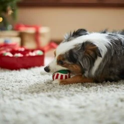 Frisco Holiday Wreath Fetch Squeaky Tennis Ball Dog Toy 10 Frisco Holiday Wreath Fetch Squeaky Tennis Ball Dog Toy -Frisco Sales Store 233189 PT3. AC SS1800 V1665759769