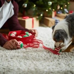 Frisco Holiday Wreath Fetch Squeaky Tennis Ball Dog Toy 11 Frisco Holiday Wreath Fetch Squeaky Tennis Ball Dog Toy -Frisco Sales Store 233189 PT5. AC SS1800 V1601919657