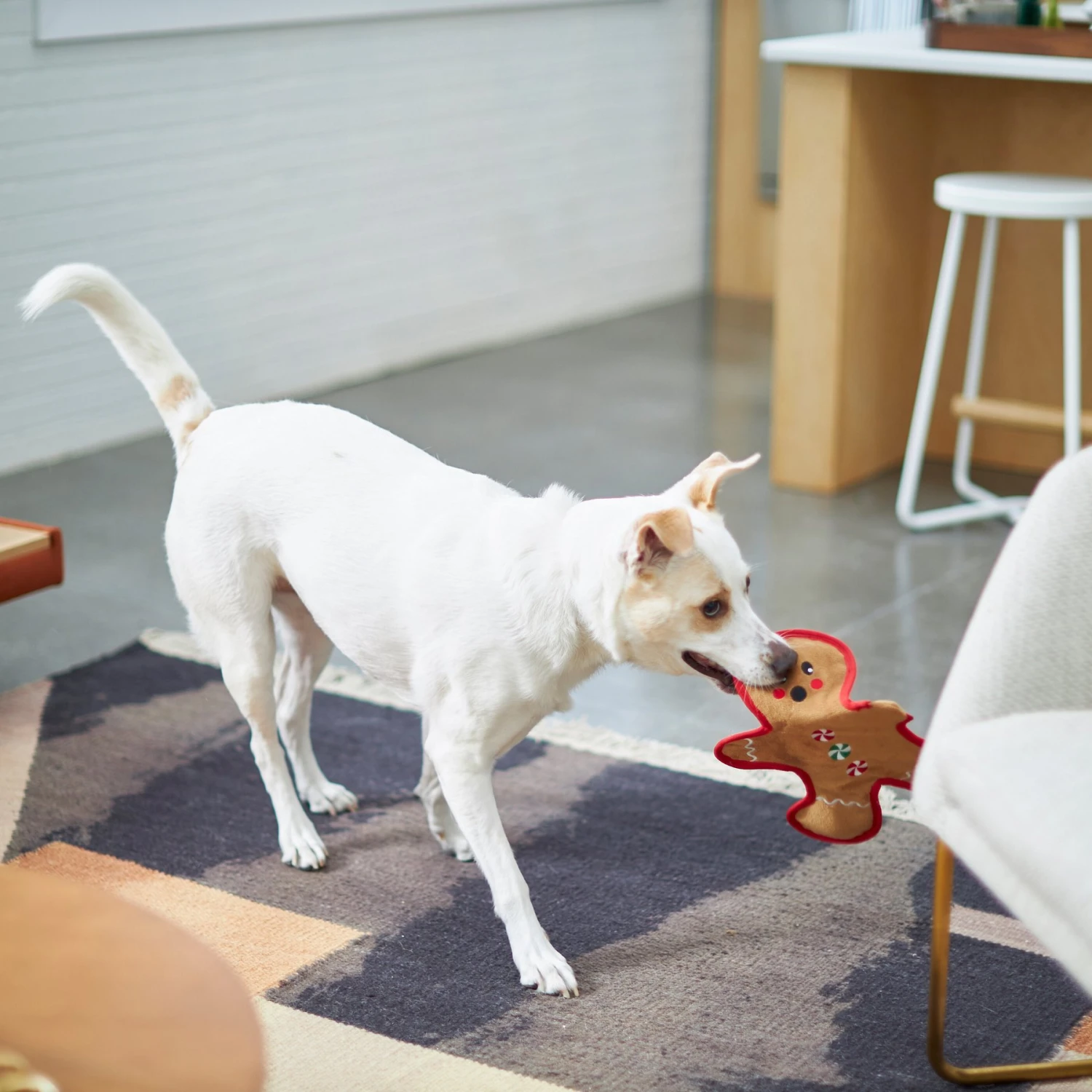 Frisco Holiday Gingerbread Man Flat Plush Squeaky Dog Toy 3 Frisco Holiday Gingerbread Man Flat Plush Squeaky Dog Toy - Image 3