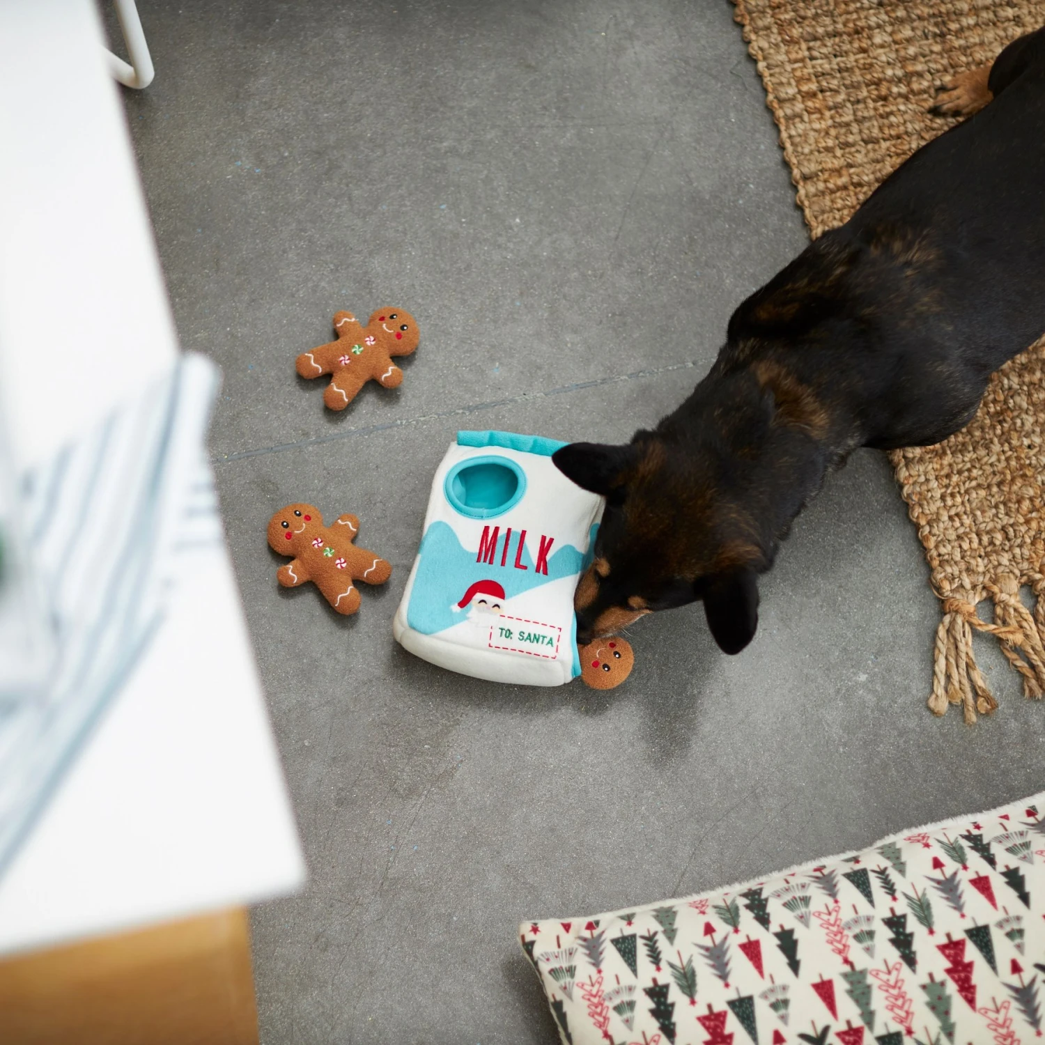 Frisco Holiday Milk & Gingerbread Cookies Hide & Seek Puzzle Plush Squeaky Dog Toy 6 Frisco Holiday Milk & Gingerbread Cookies Hide & Seek Puzzle Plush Squeaky Dog Toy - Image 6