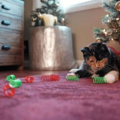 Frisco Holiday Springs Cat Toy, 10 Count -Frisco Sales Store 233307 PT2. AC SS1800 V1602172363