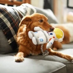 Frisco Ballistic Nylon Plush With Rope Squeaky Astronaut Dog Toy 5 Frisco Ballistic Nylon Plush With Rope Squeaky Astronaut Dog Toy -Frisco Sales Store 233585 PT3. AC SS1800 V1600973761