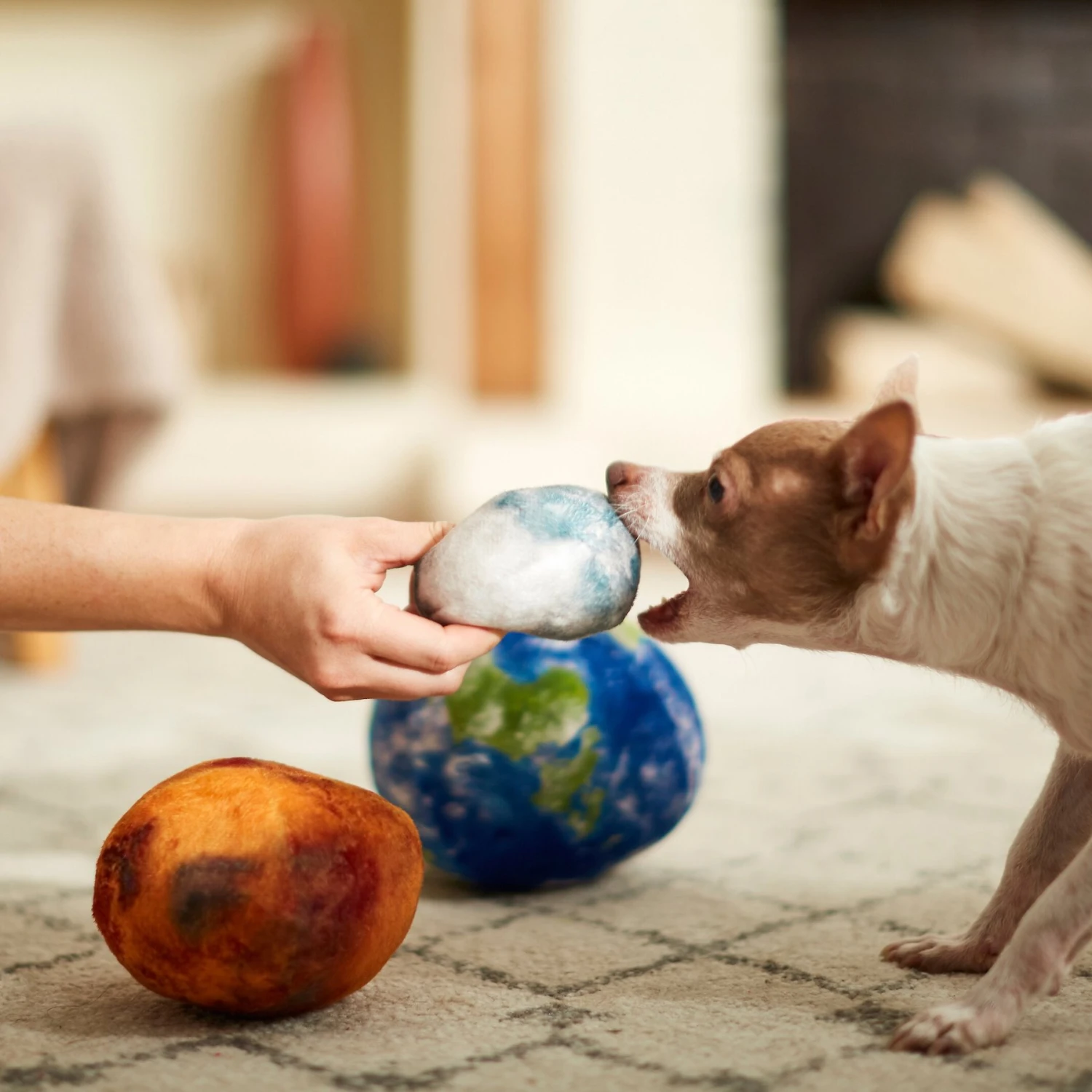 Frisco Earth, Mars, And Moon Plush Squeaky Dog Toy 3 Frisco Earth, Mars, And Moon Plush Squeaky Dog Toy - Image 3