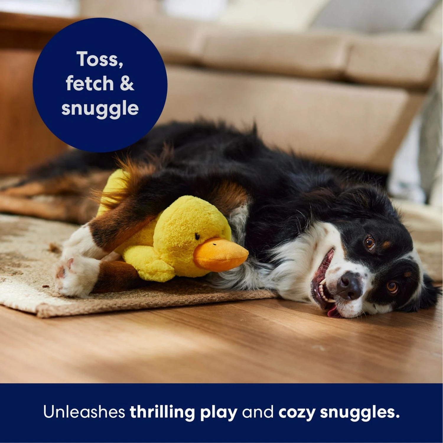 Frisco Duck Plush Squeaky Dog Toy 5 Frisco Duck Plush Squeaky Dog Toy - Image 5