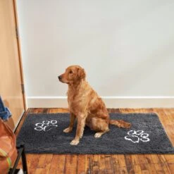 Frisco Microfiber Chenille Paw Print Doormat Runner 9 Frisco Microfiber Chenille Paw Print Doormat Runner -Frisco Sales Store 235889 PT6. AC SS1800 V1606833151