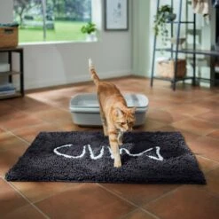 Frisco Microfiber Chenille Fish Bone Litter Mat 9 Frisco Microfiber Chenille Fish Bone Litter Mat -Frisco Sales Store 236242 PT3. AC SS1800 V1676556249