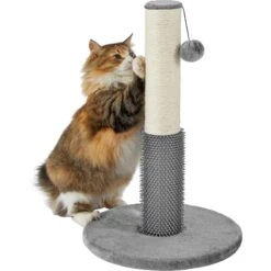 Frisco 21-in Sisal Cat Scratching Post With Toy & Groomer -Frisco Sales Store 236533 PT2. AC SS1800 V1615987395