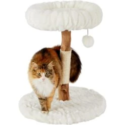 Frisco Natural Wood Modern Cat Tree With Toy, Ivory, Small -Frisco Sales Store 236559 PT2. AC SS1800 V1615987338