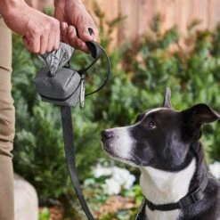 Frisco Large Size Dog Poop Bags With Fabric Dispenser 13 Frisco Large Size Dog Poop Bags With Fabric Dispenser -Frisco Sales Store 237013 PT6. AC SS1800 V1610762789