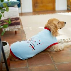 Frisco I Dig You Dog & Cat T-shirt 14 Frisco I Dig You Dog & Cat T-shirt -Frisco Sales Store 238167 PT6. AC SS1800 V1608594463