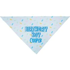 Frisco Birthday Boy Personalized Dog & Cat Bandana -Frisco Sales Store 238329 PT3. AC SS1800 V1618511828
