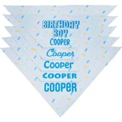 Frisco Birthday Boy Personalized Dog & Cat Bandana -Frisco Sales Store 238329 PT4. AC SS1800 V1618511578