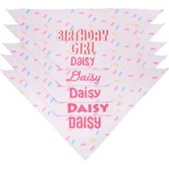 Frisco Birthday Girl Personalized Dog & Cat Bandana 12 Frisco Birthday Girl Personalized Dog & Cat Bandana -Frisco Sales Store 238333 PT4. AC SS1800 V1618507367