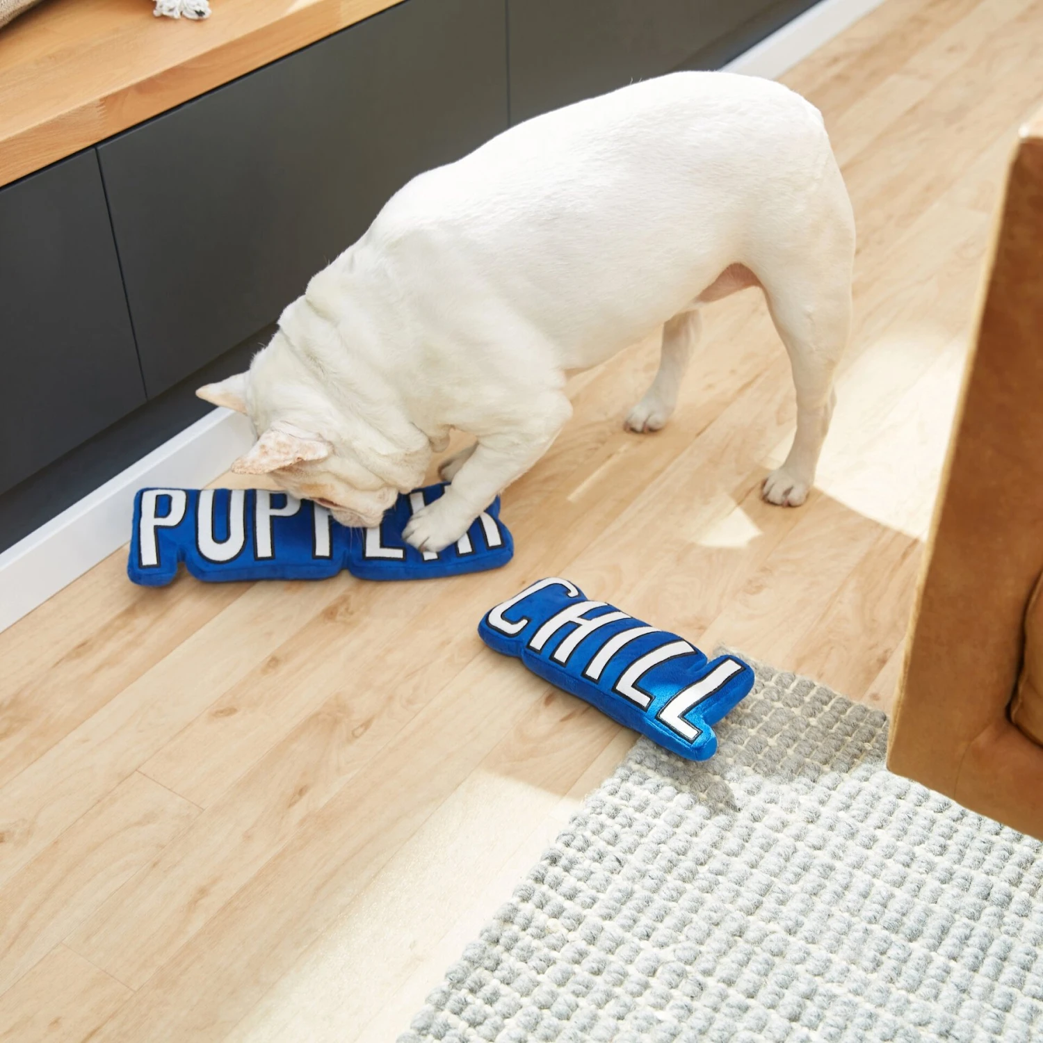 Frisco Zoomies & Chill Pupflix & Chill Plush Squeaky Dog Toy, 2 Count 3 Frisco Zoomies & Chill Pupflix & Chill Plush Squeaky Dog Toy, 2 Count - Image 3