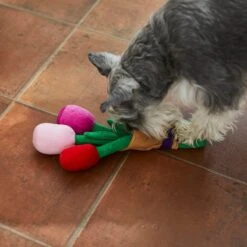 Frisco Valentine Rose Bouquet Plush Squeaky Dog Toy 6 Frisco Valentine Rose Bouquet Plush Squeaky Dog Toy -Frisco Sales Store 241733 PT6. AC SS1800 V1607990908