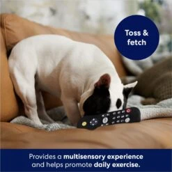 Frisco Zoomies & Chill Remote Latex Squeaky Dog Toy -Frisco Sales Store 241753 PT6. AC SS1800 V1686580150