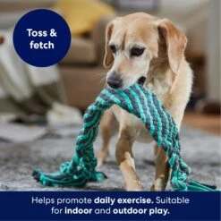 Frisco Flat Teal & Gray Braided Rope Squeaky Fetch Dog Toy 8 Frisco Flat Teal & Gray Braided Rope Squeaky Fetch Dog Toy -Frisco Sales Store 242127 PT3. AC SS1800 V1695242179