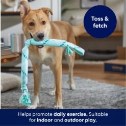 Frisco Double Fun Rope Crinkle Fetch Dog Toy -Frisco Sales Store 242137 PT3. AC SS1800 V1695242178