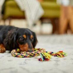 Frisco Pretzel Rope Dog Toy 5 Frisco Pretzel Rope Dog Toy -Frisco Sales Store 242141 PT2. AC SS1800 V1605208795