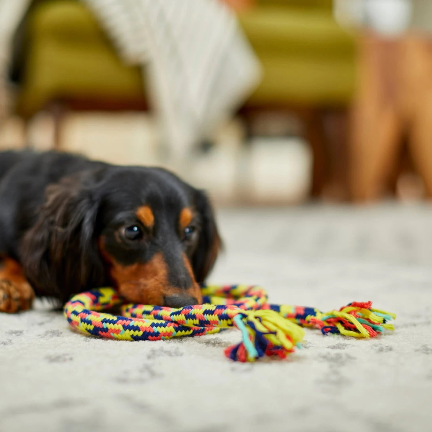Frisco Pretzel Rope Dog Toy 3 Frisco Pretzel Rope Dog Toy - Image 3