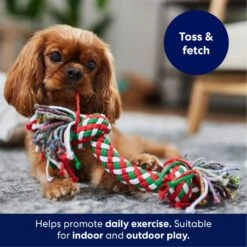 Frisco Double Knot Tri-Color Rope Fetch Dog Toy 6 Frisco Double Knot Tri-Color Rope Fetch Dog Toy -Frisco Sales Store 242149 PT3. AC SS1800 V1695241915