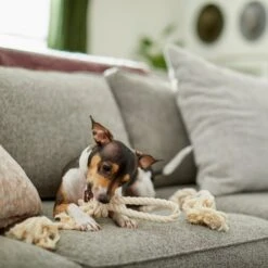 Frisco Double Knot Cotton Rope Fetch Dog Toy -Frisco Sales Store 242155 PT2. AC SS1800 V1605208728