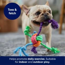 Frisco Fetch Colorful Ball Knot Rope Dog Toy -Frisco Sales Store 242159 PT3. AC SS1800 V1695242179