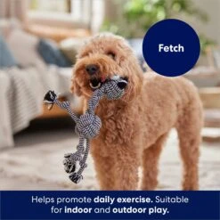 Frisco Zebra Rope Squeaky Dog Toy 8 Frisco Zebra Rope Squeaky Dog Toy -Frisco Sales Store 242163 PT3. AC SS1800 V1691785245