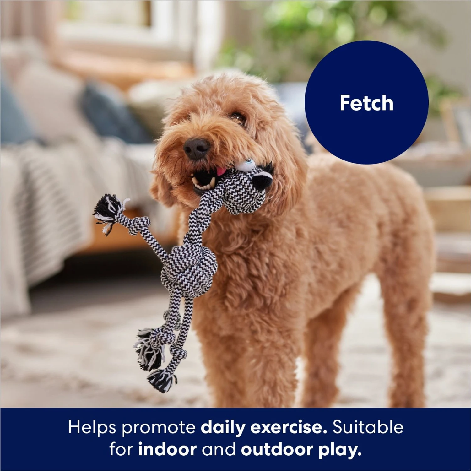 Frisco Zebra Rope Squeaky Dog Toy 4 Frisco Zebra Rope Squeaky Dog Toy - Image 4