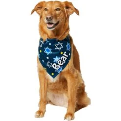 Frisco Hanukkah Personalized Dog & Cat Bandana 14 Frisco Hanukkah Personalized Dog & Cat Bandana -Frisco Sales Store 242799 PT6. AC SS1800 V1618511253