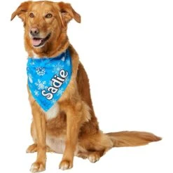 Frisco Blue Snowflakes Personalized Dog & Cat Bandana 14 Frisco Blue Snowflakes Personalized Dog & Cat Bandana -Frisco Sales Store 242803 PT6. AC SS1800 V1618511278